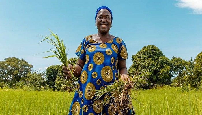 Nestlé partnership with Africa Food Prize to strengthen food security and climate change resilience