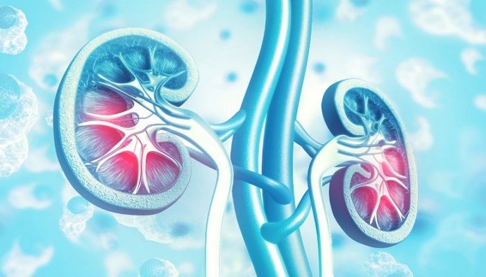 The benefits of early screening for kidney disease