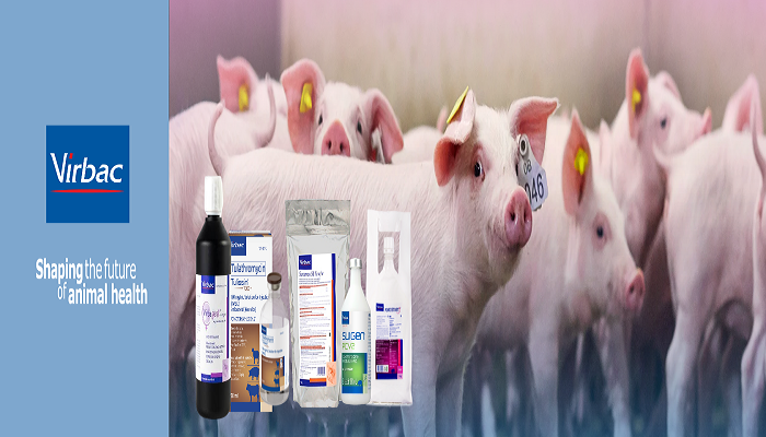 New Prevention Solutions for Swine Farming