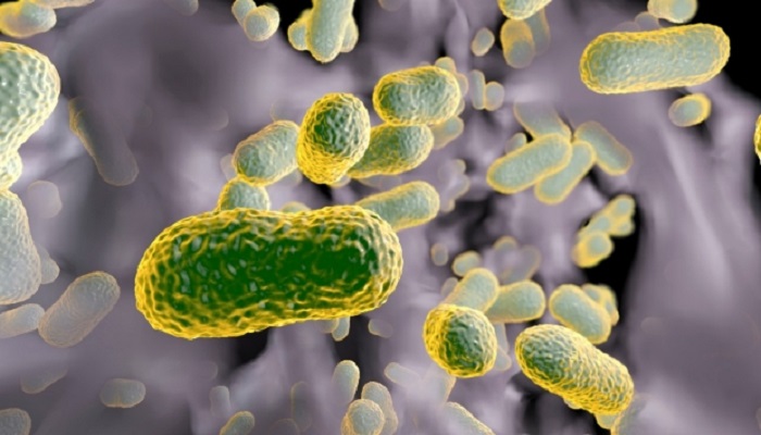 Generative AI develops potential antibiotic resistant bacteria